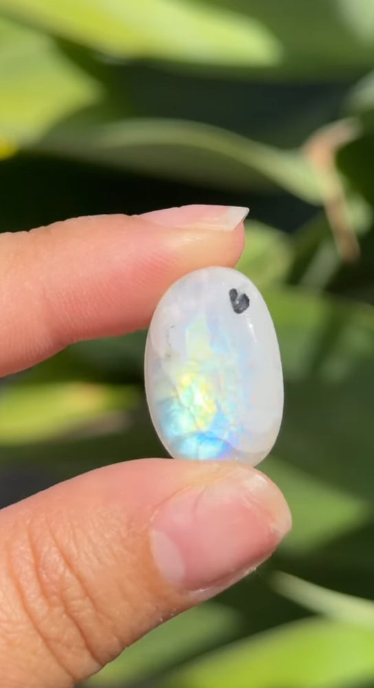 
                  
                    RESERVED LISTING - solarly_challenged
                  
                