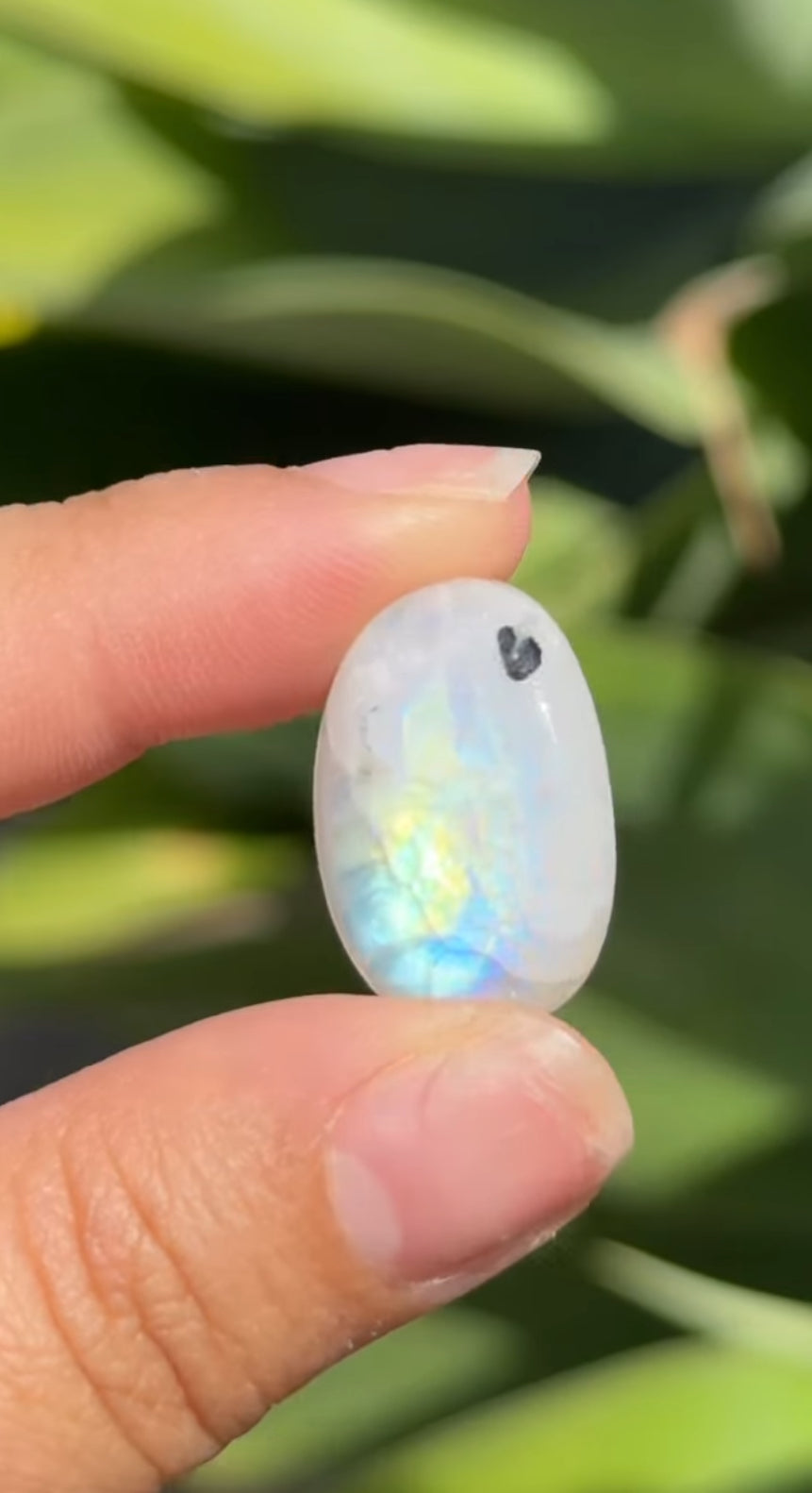 
                  
                    RESERVED LISTING - solarly_challenged
                  
                