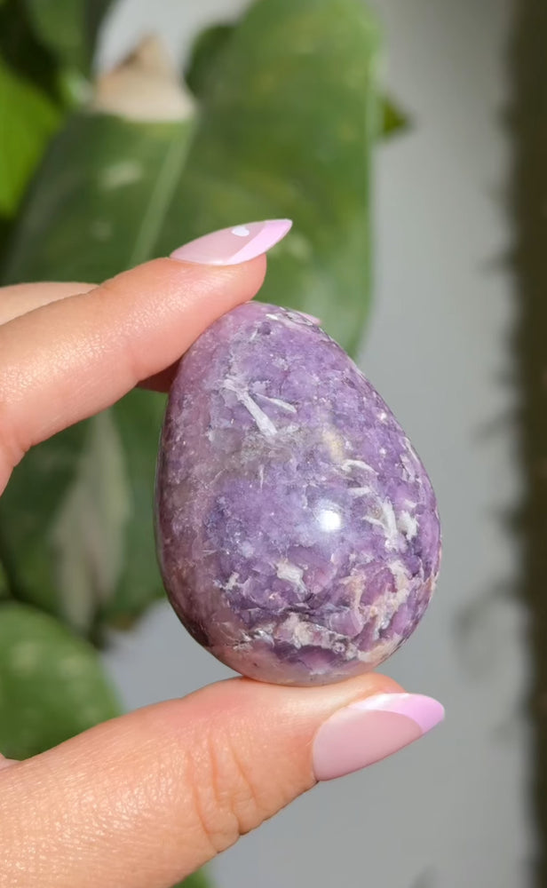 
                  
                    RESERVED LISTING - hannah_banana099
                  
                