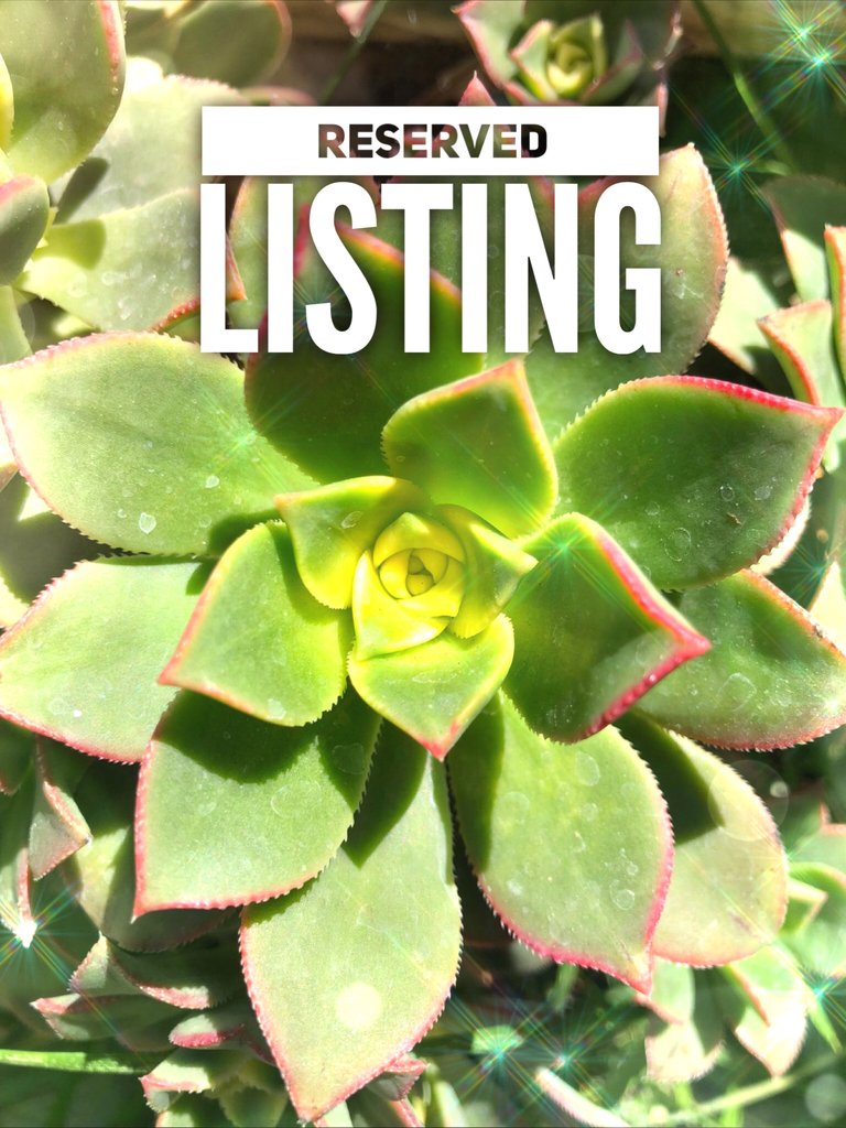 
                  
                    RESERVED LISTING - nadia_roman07
                  
                