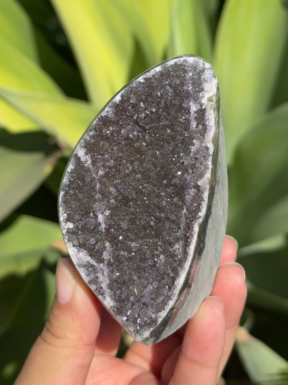 Amethyst Cut Base