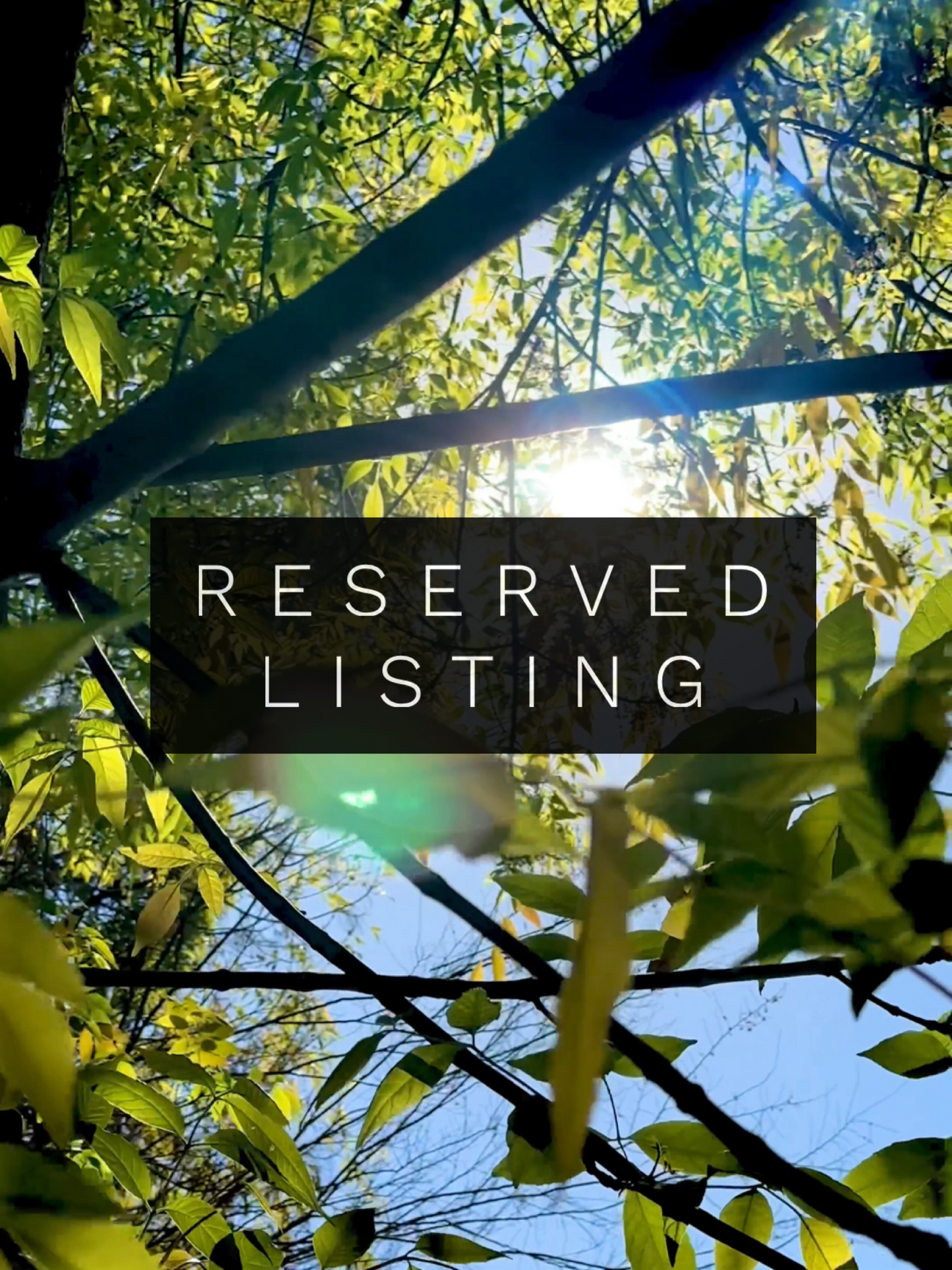 
                  
                    RESERVED LISTING - c_gen
                  
                