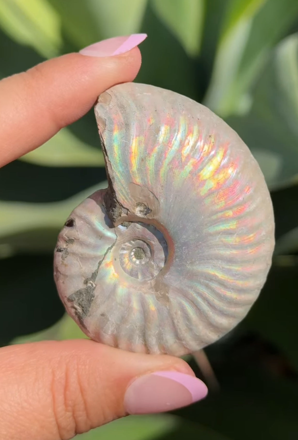 
                  
                    RESERVED LISTING - solarly_challenged
                  
                