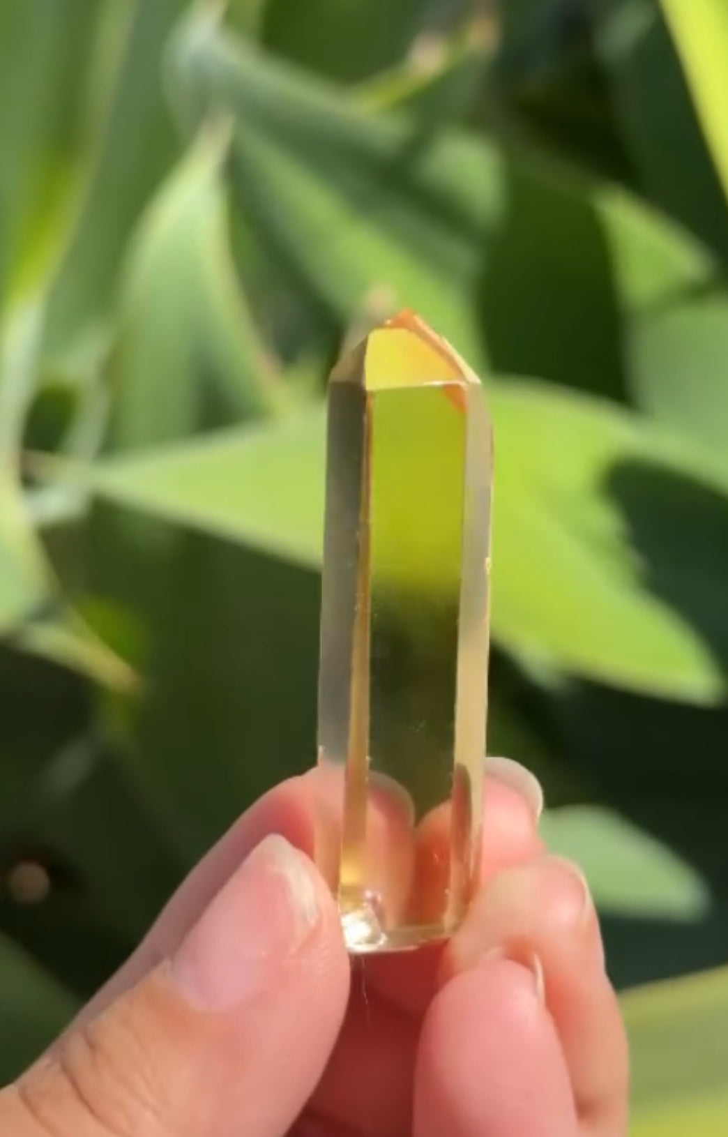 
                  
                    RESERVED LISTING - apollothelifesavingservicedog
                  
                