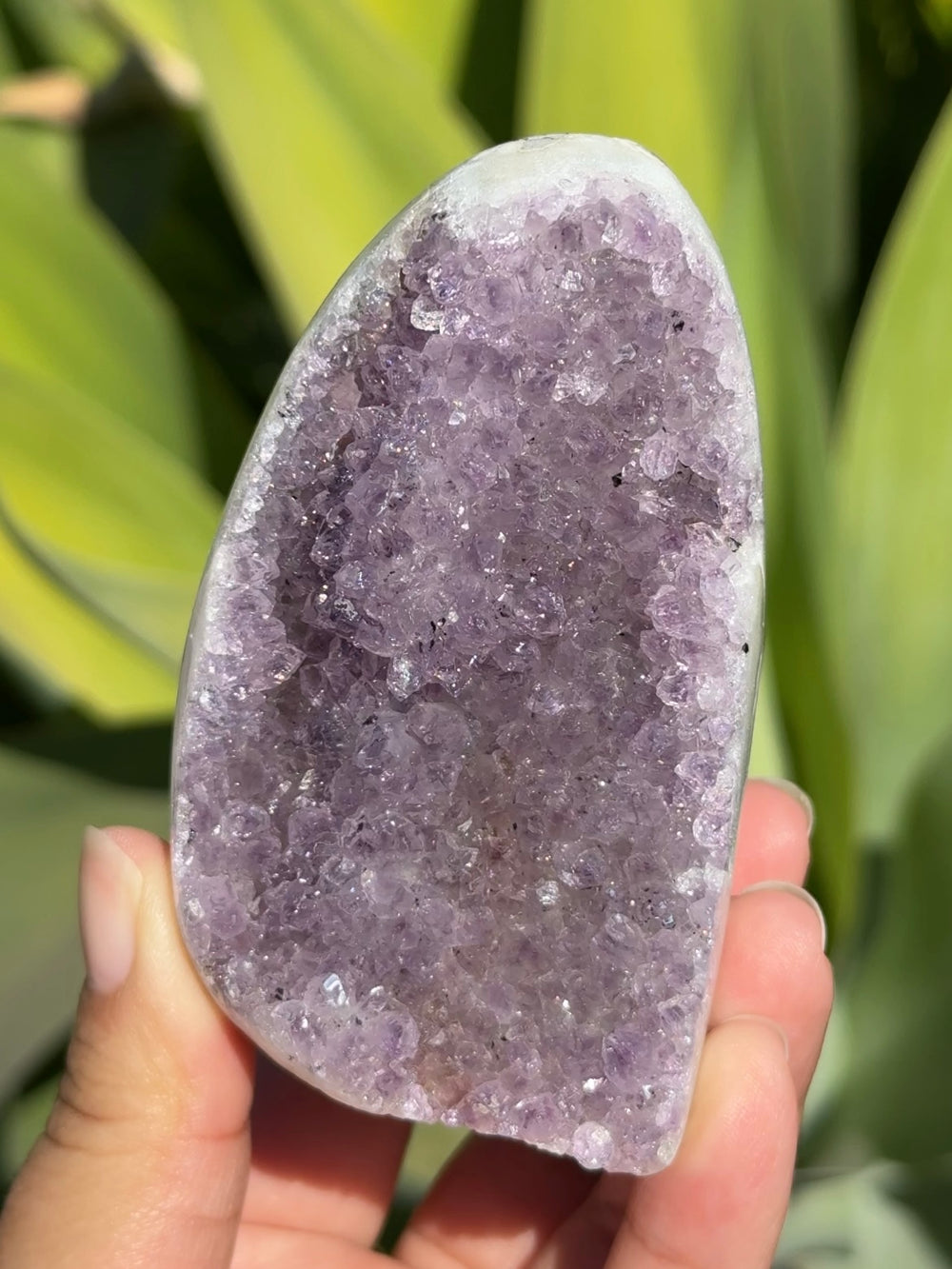 Amethyst Cut Base