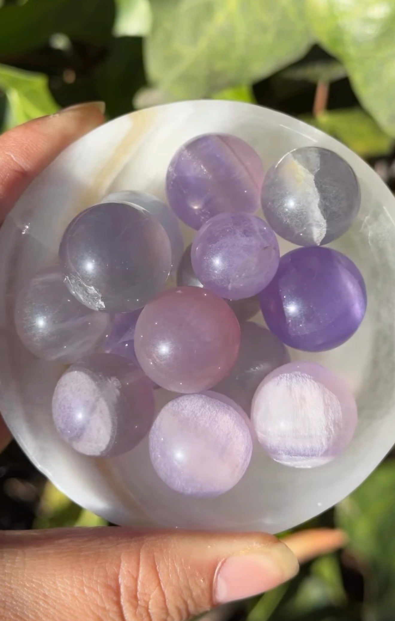 
                  
                    RESERVED LISTING - lavender.starlight.dreams
                  
                
