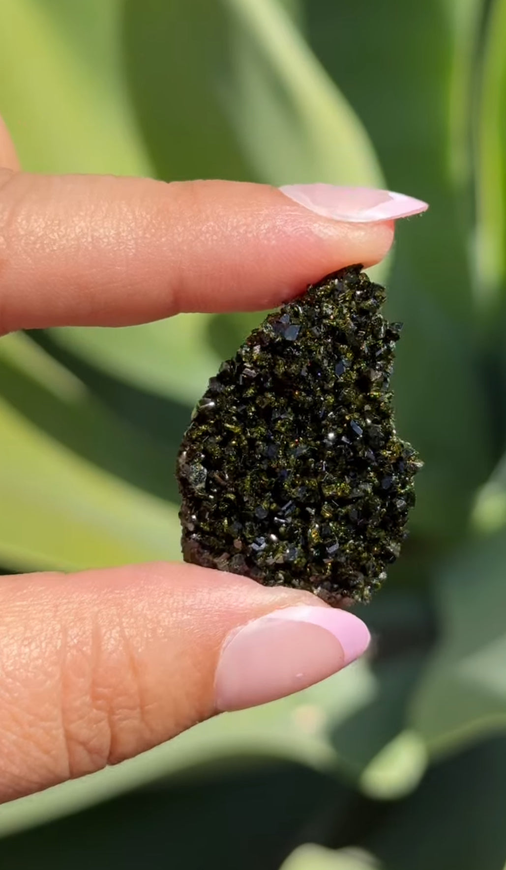 
                  
                    RESERVED LISTING - catniss_evergreen
                  
                