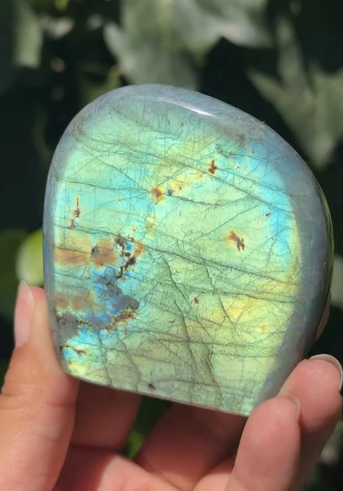 
                  
                    RESERVED LISTING - carly.cylar_
                  
                