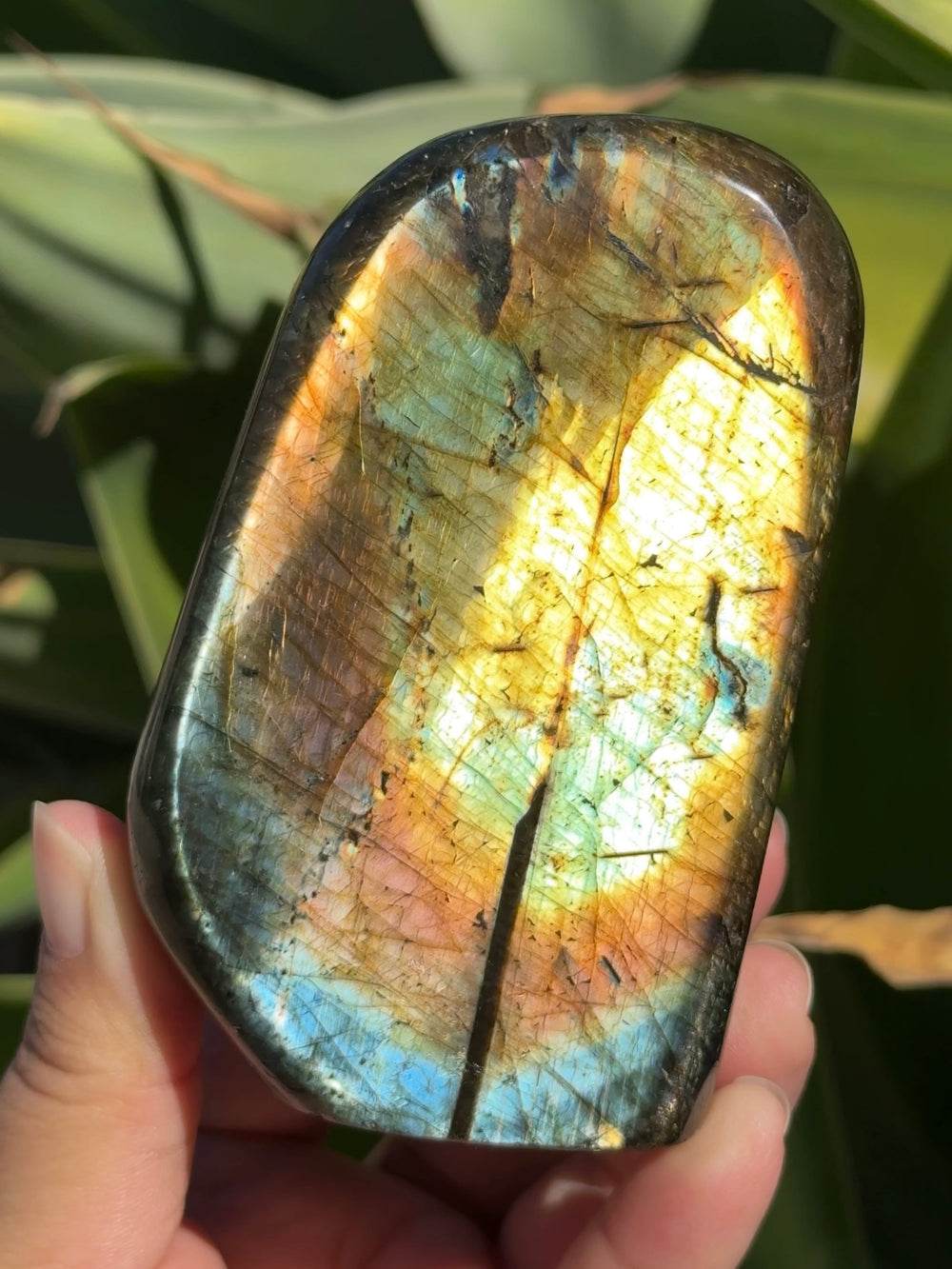 Labradorite Freeform