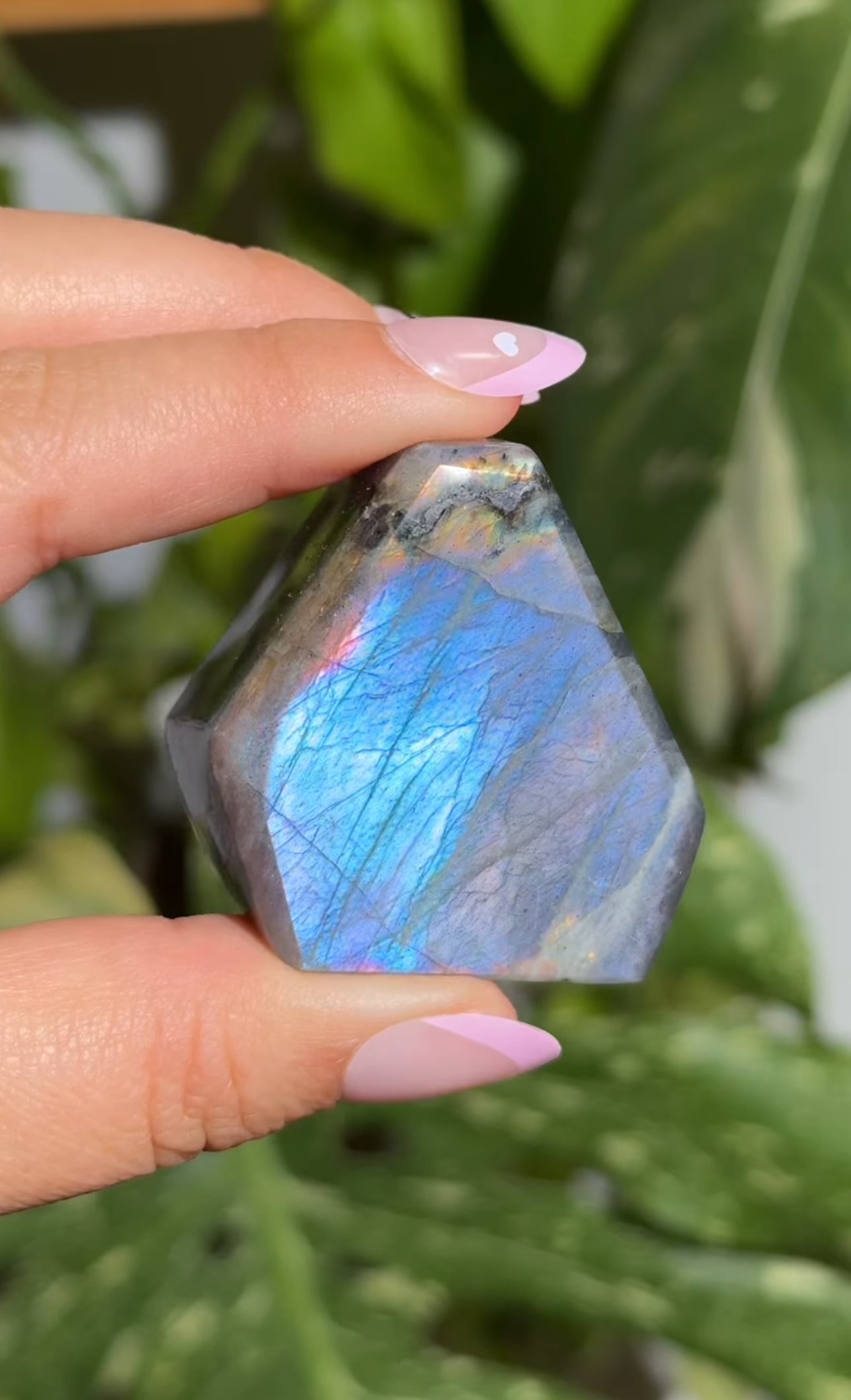 
                  
                    RESERVED LISTING - red_letter187
                  
                