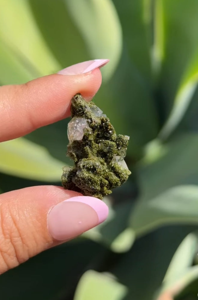 
                  
                    RESERVED LISTING - thegardeninggansta
                  
                