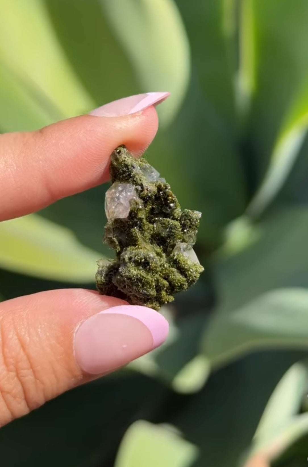 
                  
                    RESERVED LISTING - thegardeninggansta
                  
                