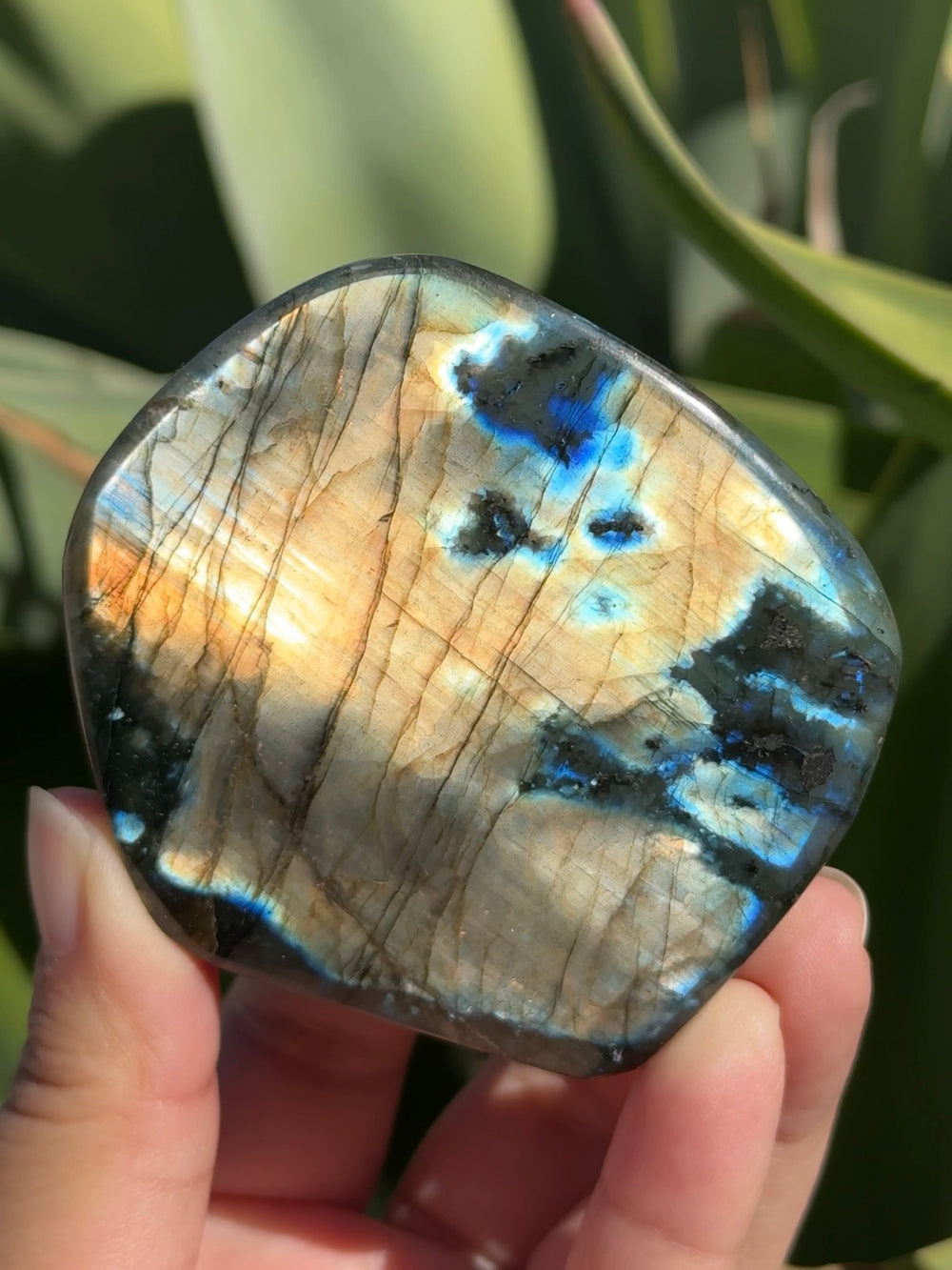 Labradorite Freeform