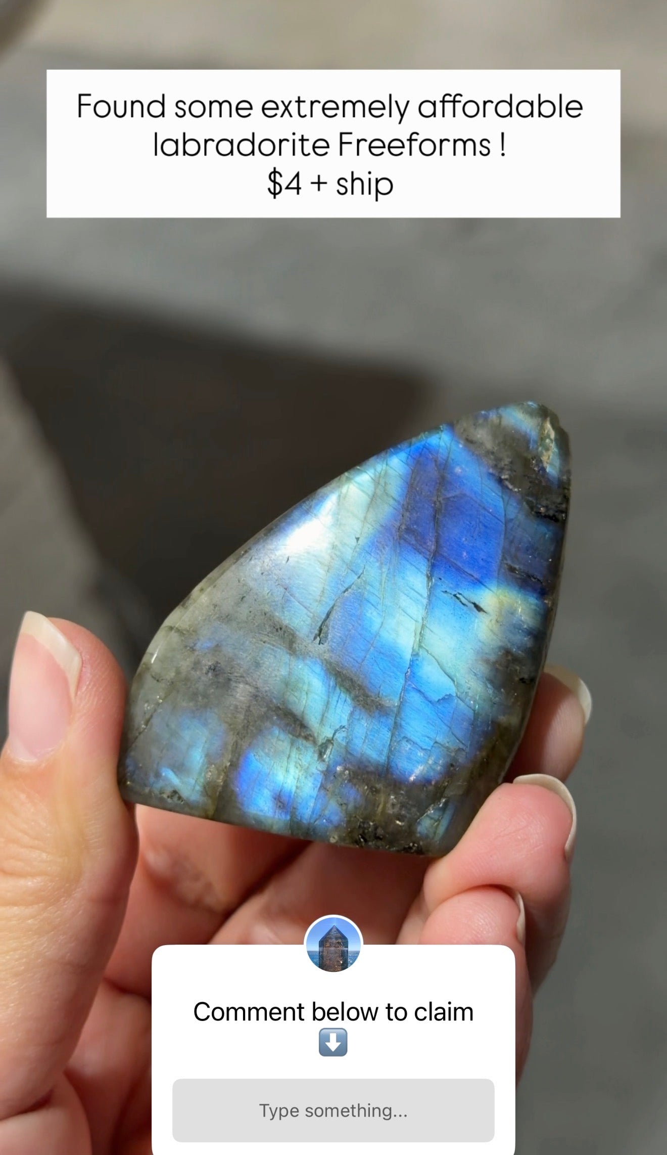 
                  
                    RESERVED LISTING - tammysdolphincrystalpalace23
                  
                