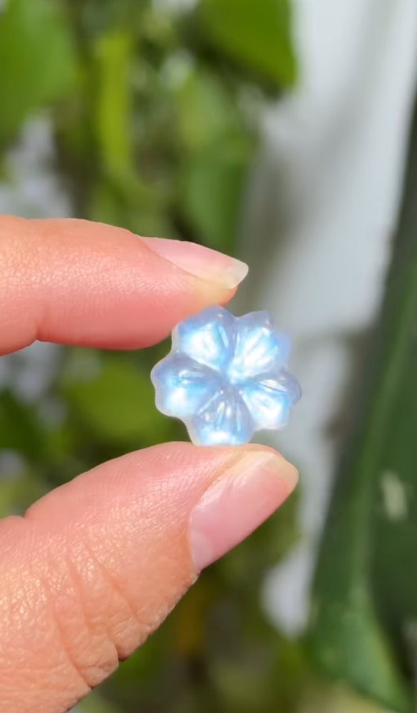 
                  
                    RESERVED LISTING - solarly_challenged
                  
                