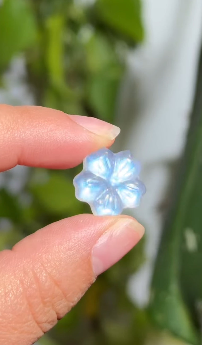 
                  
                    RESERVED LISTING - solarly_challenged
                  
                