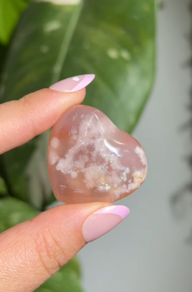 
                  
                    RESERVED LISTING - red_letter187
                  
                