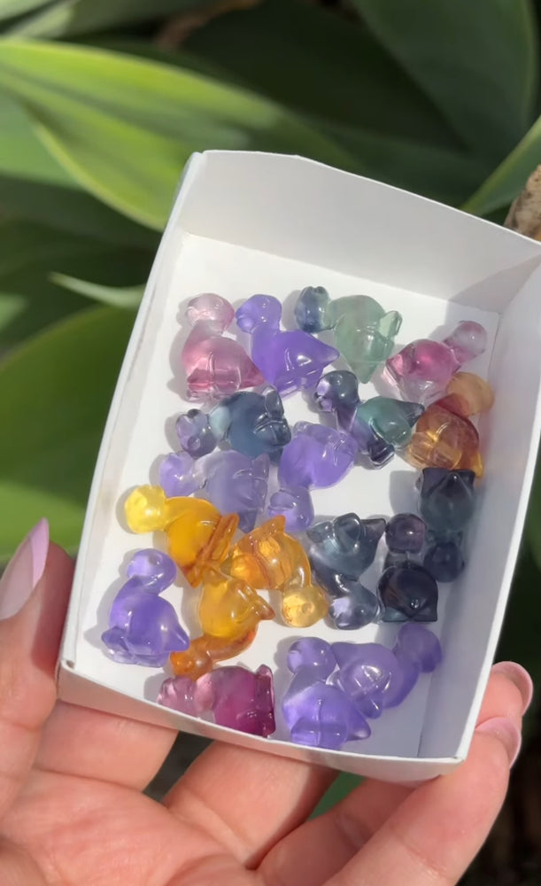 
                  
                    RESERVED LISTING - erinfetz
                  
                