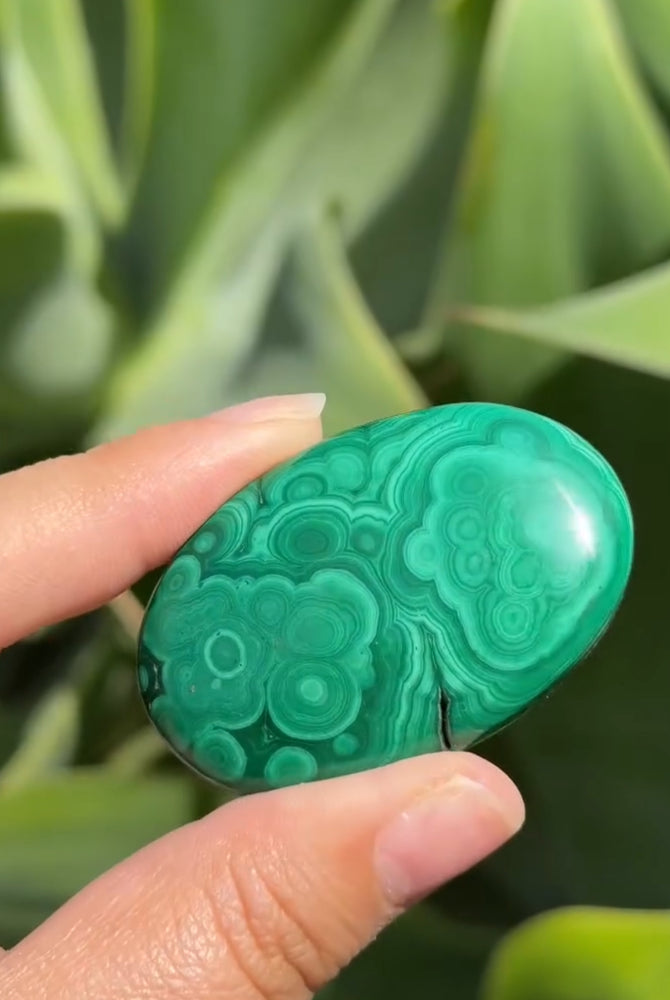 
                  
                    RESERVED LISTING - apollothelifesavingservicedog
                  
                