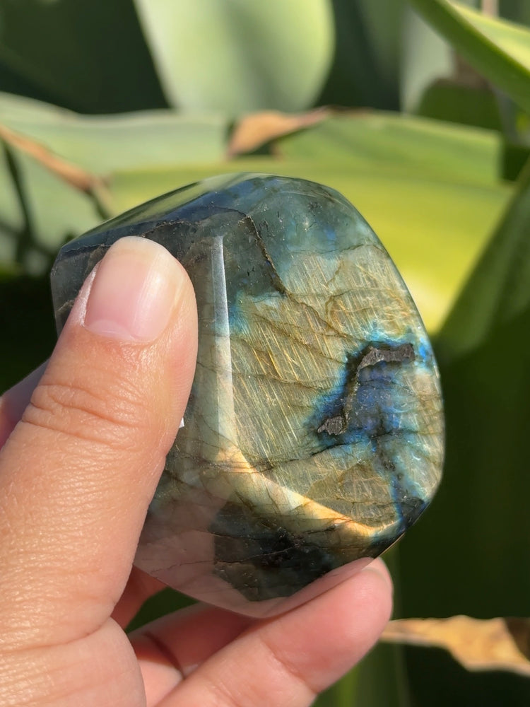 
                  
                    Labradorite Freeform
                  
                