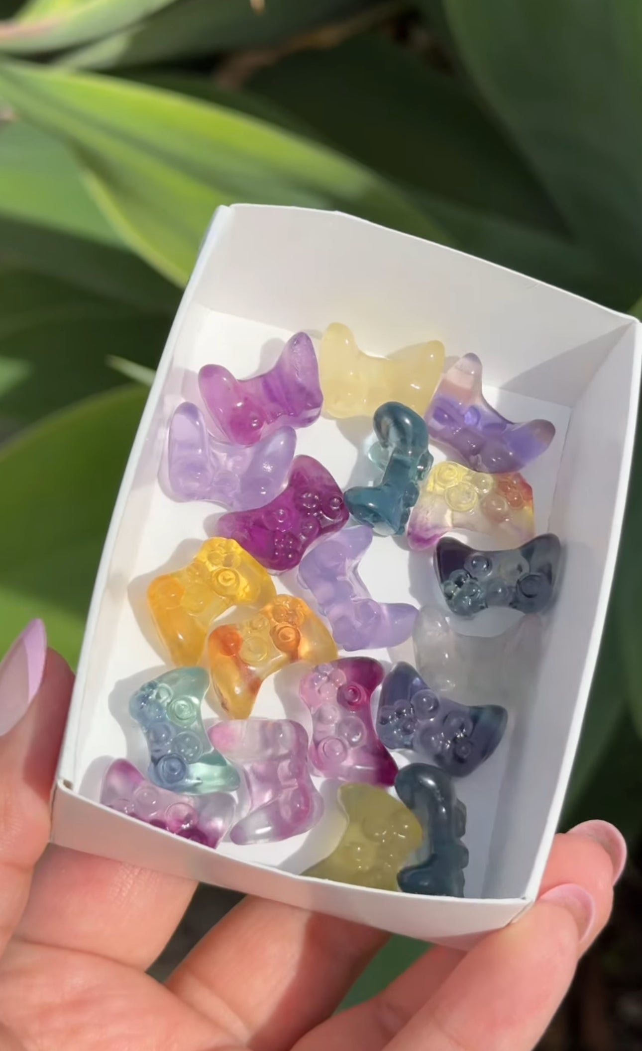 
                  
                    RESERVED LISTING - erinfetz
                  
                