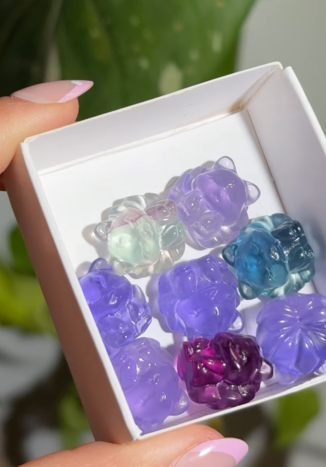 
                  
                    RESERVED LISTING - erinfetz
                  
                