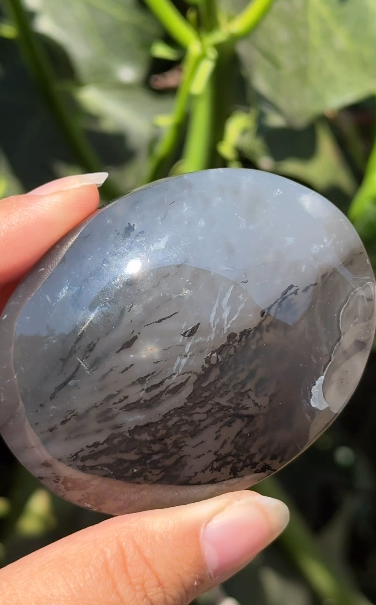 
                  
                    RESERVED LISTING - akielwas
                  
                