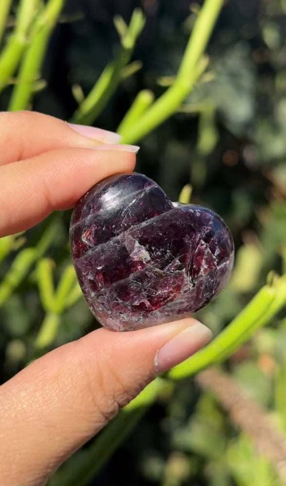 
                  
                    RESERVED LISTING - fireflyinthefields
                  
                