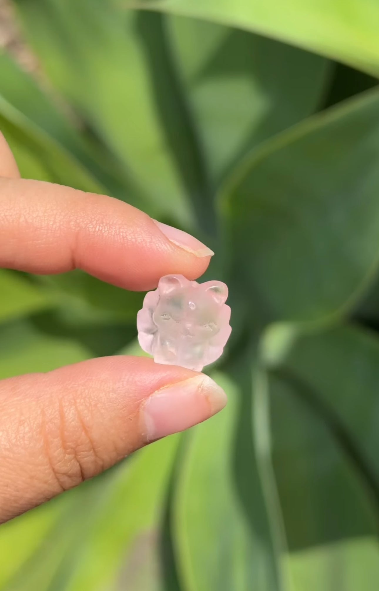 
                  
                    RESERVED LISTING - catniss_evergreen
                  
                