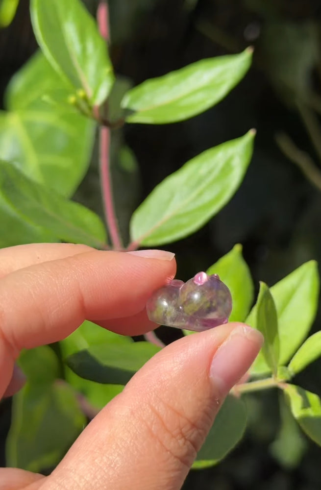 
                  
                    RESERVED LISTING - leftoverlexapro
                  
                