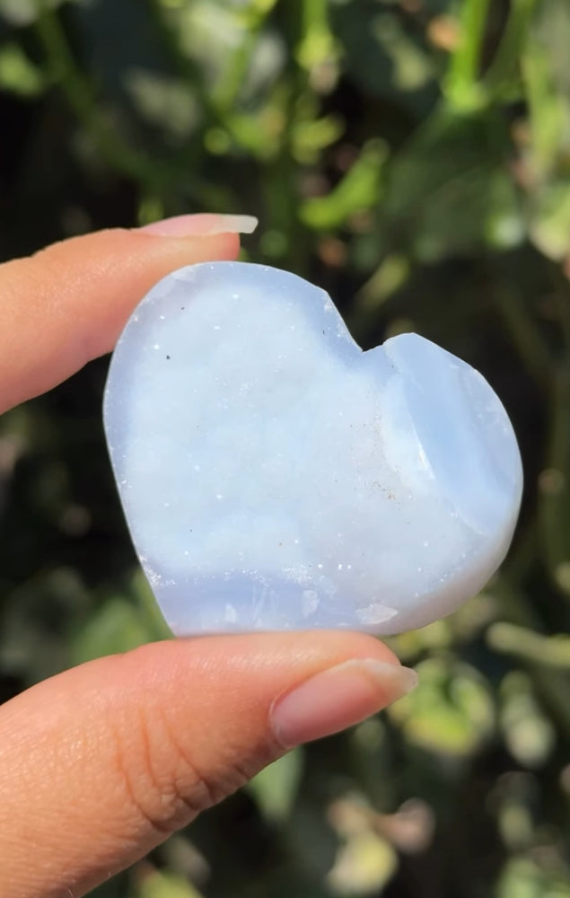 
                  
                    RESERVED LISTING - leftoverlexapro 3/4
                  
                