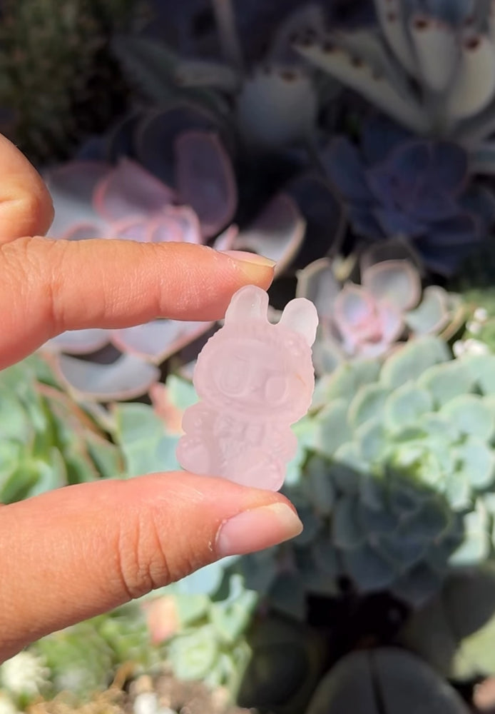 
                  
                    RESERVED LISTING - erinfetz
                  
                