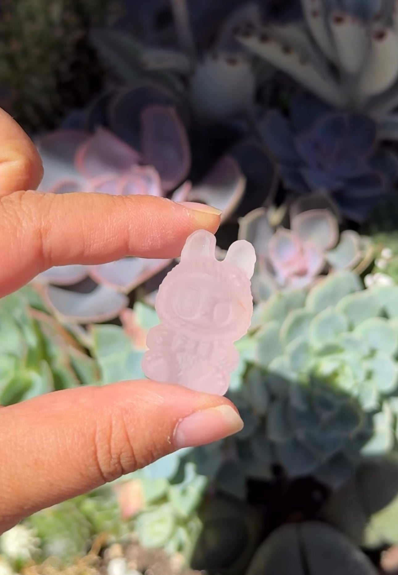 
                  
                    RESERVED LISTING - erinfetz
                  
                