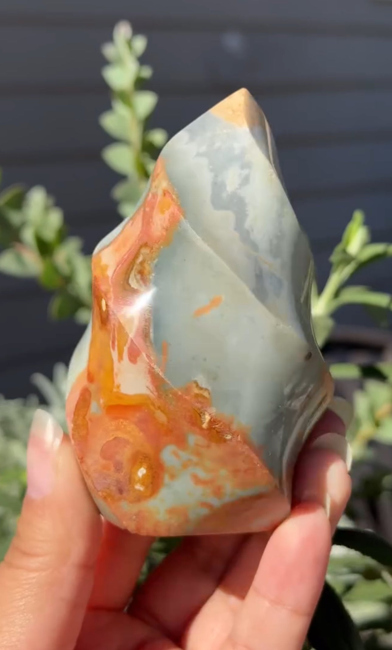 
                  
                    RESERVED LISTING - kelseyplanslife
                  
                