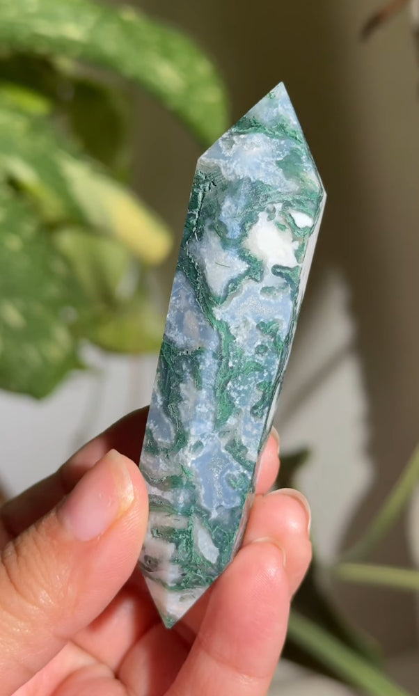 
                  
                    RESERVED LISTING - kelseyplanslife
                  
                