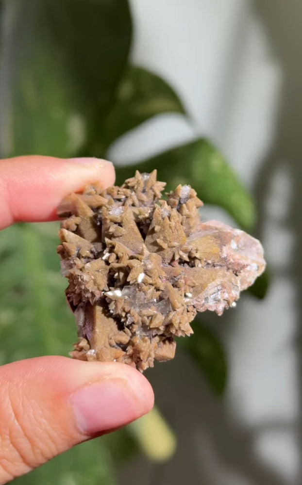 
                  
                    RESERVED LISTING - catniss_evergreen
                  
                