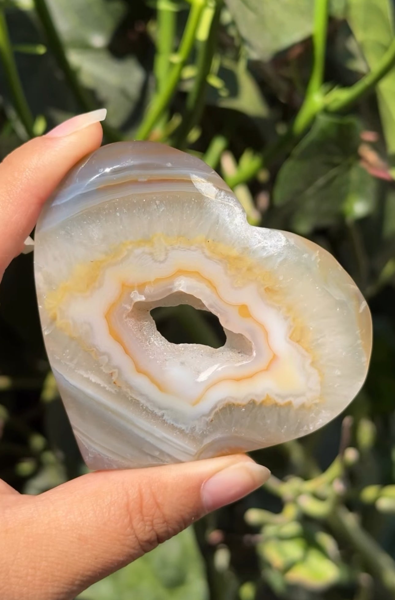 
                  
                    RESERVED LISTING - c_genesisallison87
                  
                