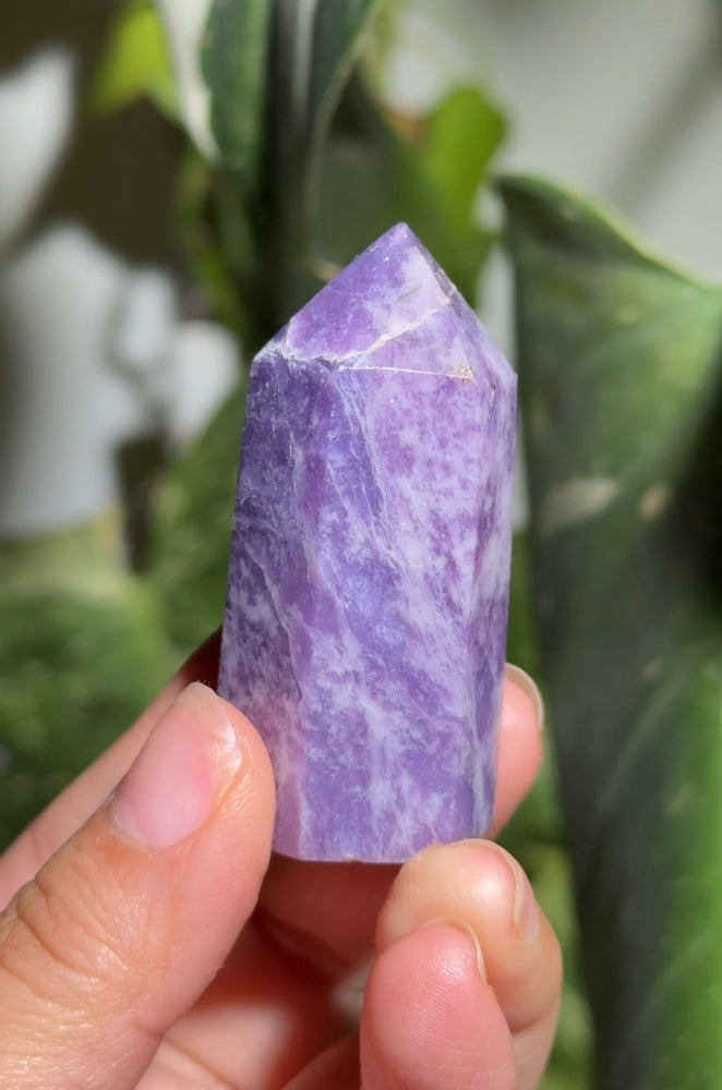 
                  
                    RESERVED LISTING - ghostofgabby
                  
                