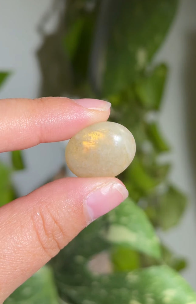 
                  
                    RESERVED LISTING - jval
                  
                