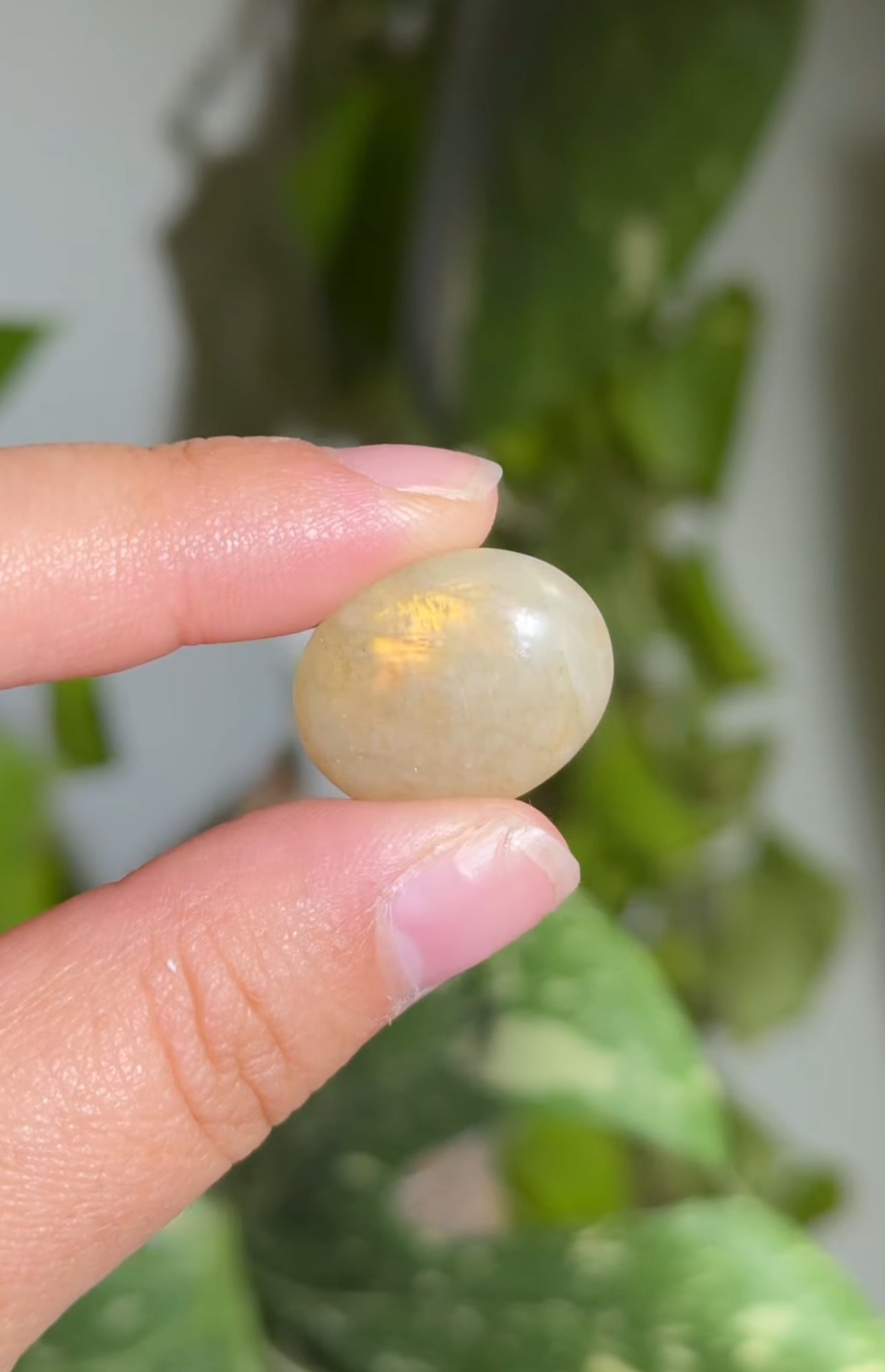 
                  
                    RESERVED LISTING - jval
                  
                