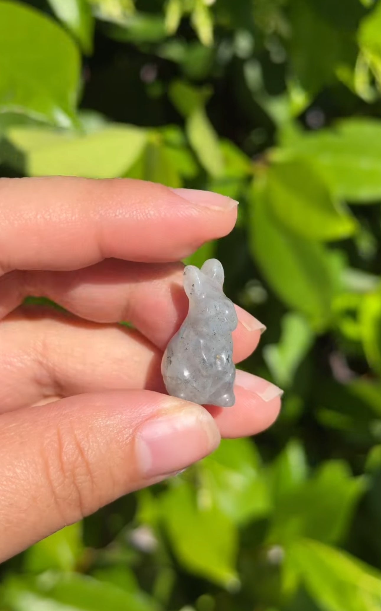 
                  
                    RESERVED LISTING - ak_miller226
                  
                