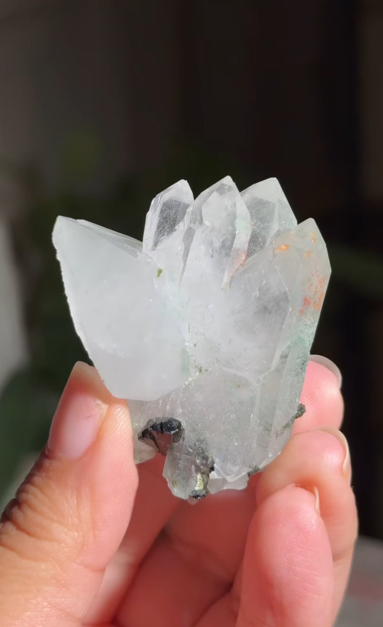 
                  
                    RESERVED LISTING - erinfetz
                  
                