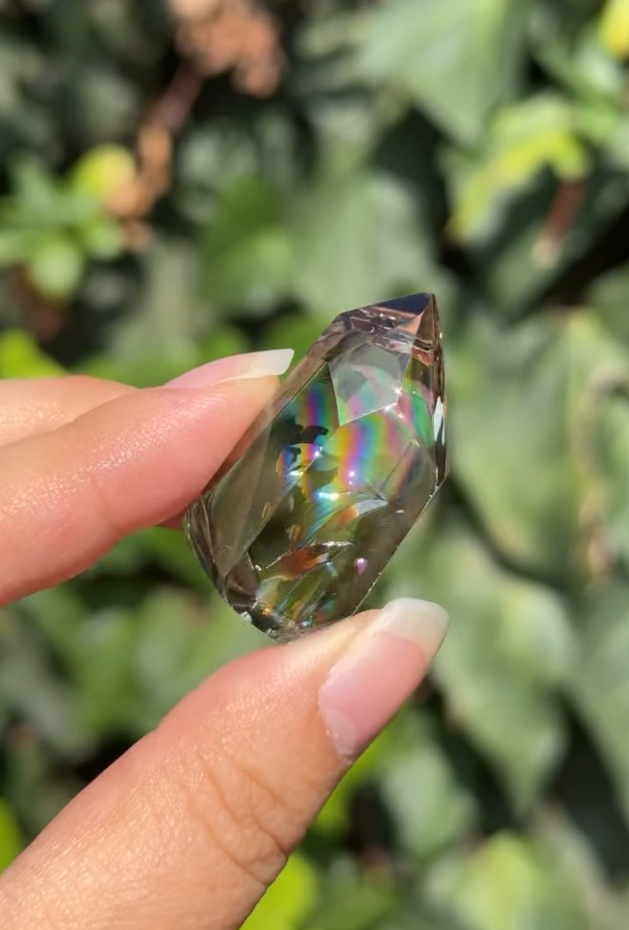 
                  
                    RESERVED LISTING - viv
                  
                