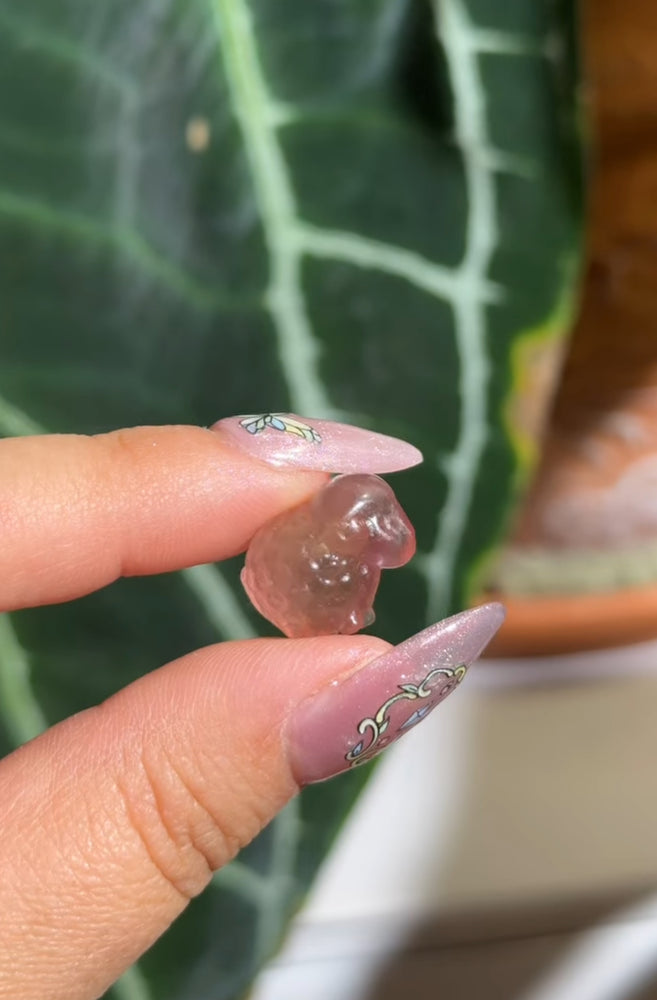 
                  
                    RESERVED LISTING - leftoverlexapro
                  
                