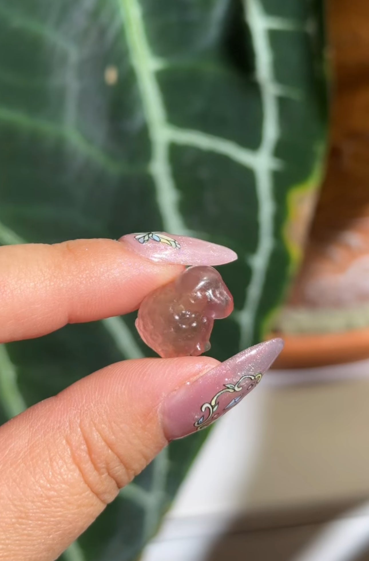 
                  
                    RESERVED LISTING - leftoverlexapro
                  
                