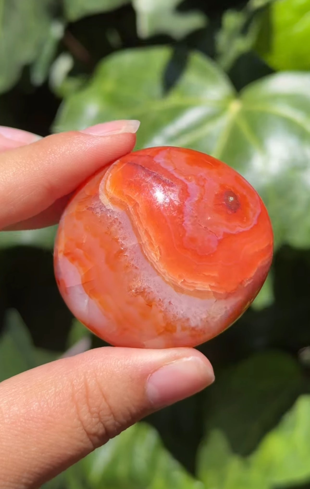 
                  
                    RESERVED LISTING - ak_miller226
                  
                