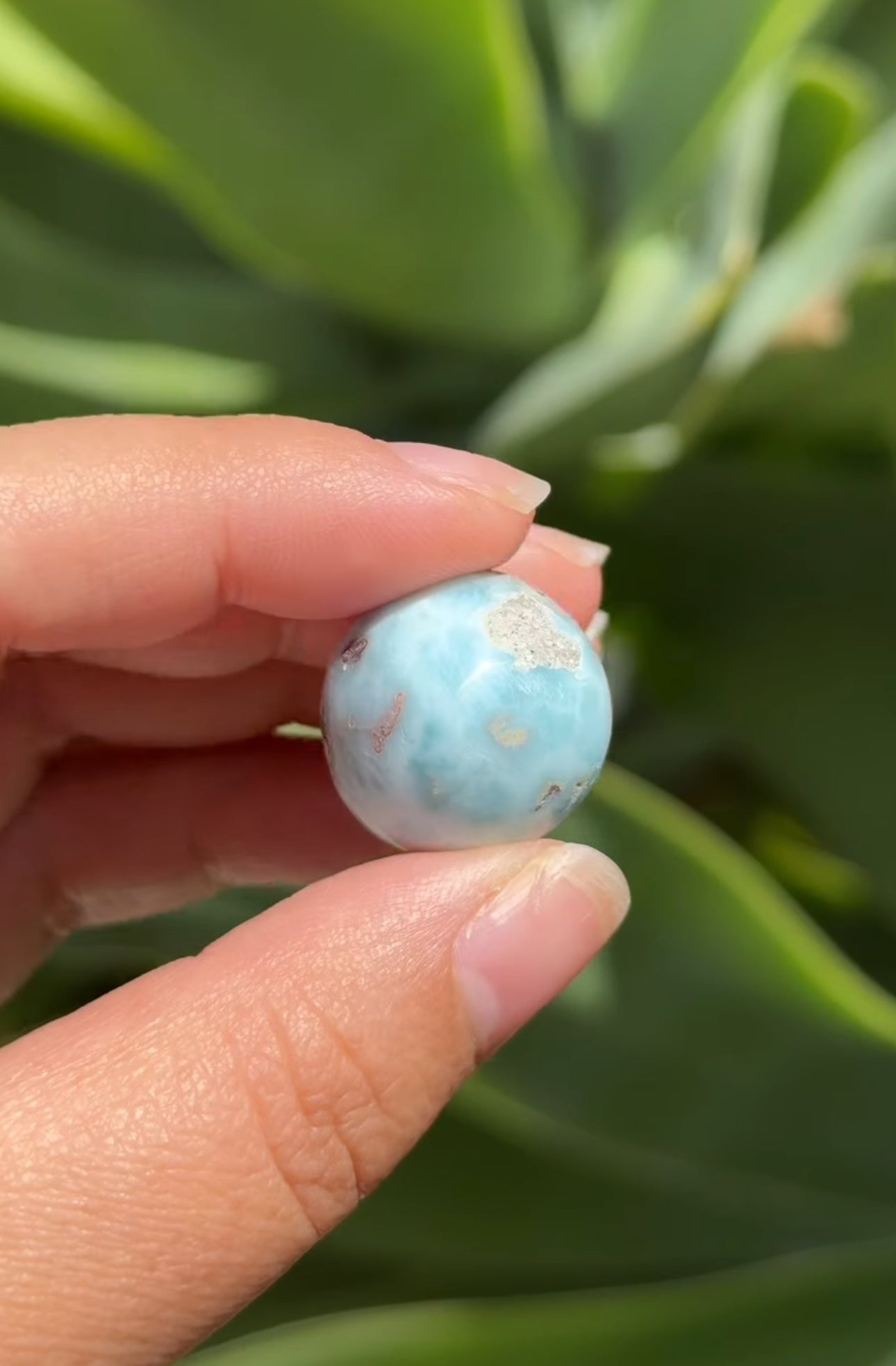 
                  
                    RESERVED LISTING - jval
                  
                