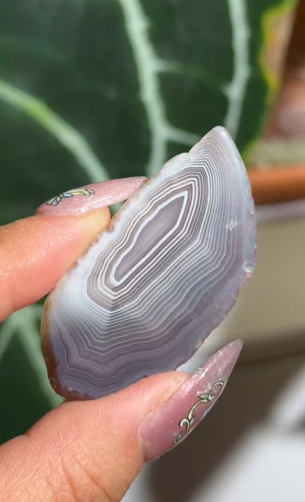 
                  
                    RESERVED LISTING - moonchu_
                  
                