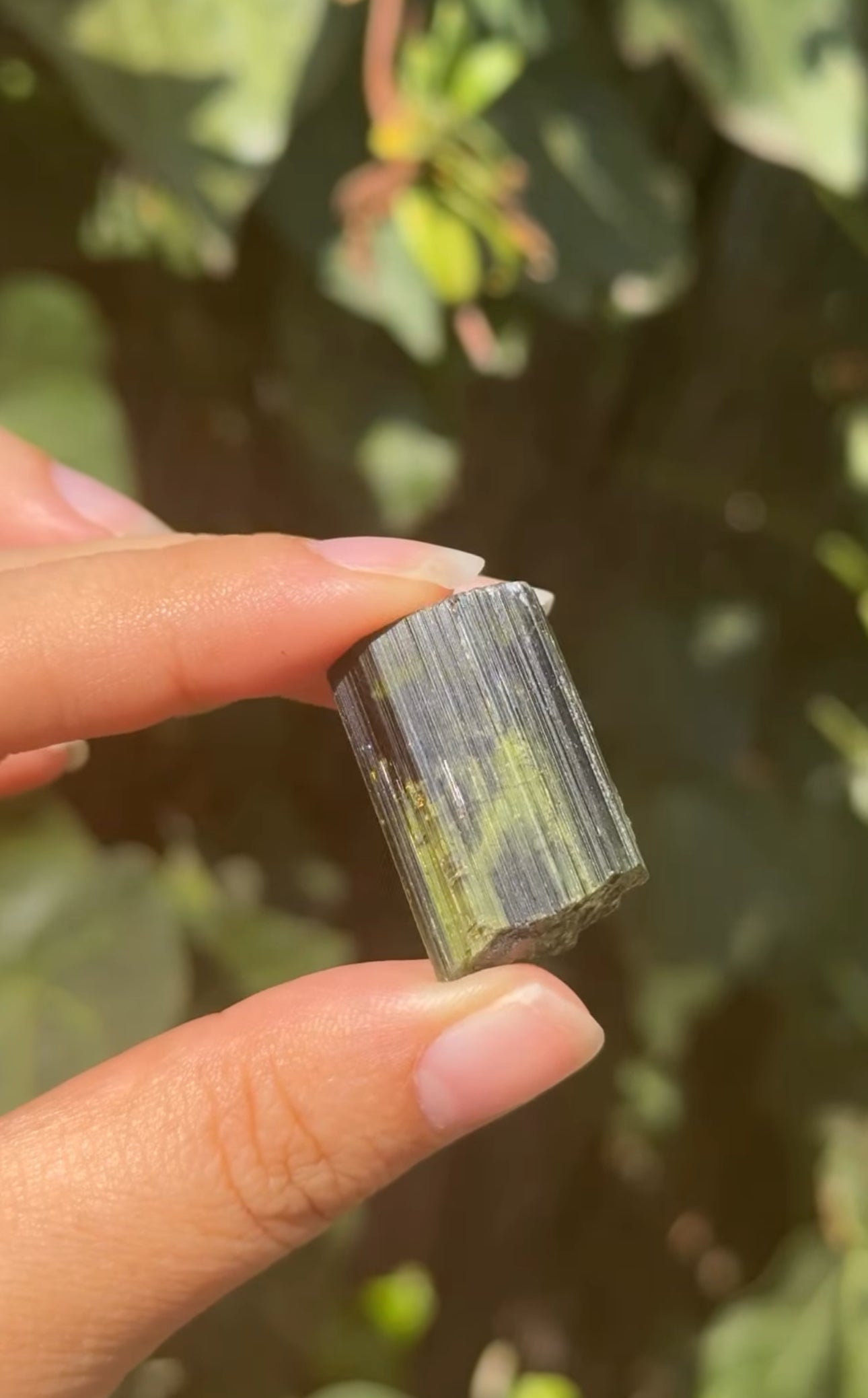 
                  
                    RESERVED LISTING - akielwas
                  
                