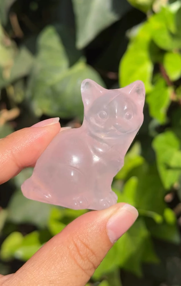 
                  
                    RESERVED LISTING - leftoverlexapro
                  
                